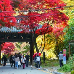 Soyosan Mountain - Dongducheon