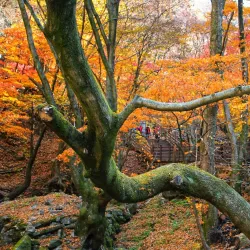Soyosan Mountain - Dongducheon
