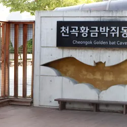 Cheongok Cave - Donghae