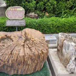 Cheongok Cave - Donghae