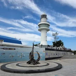 Donghae City Museum - Donghae