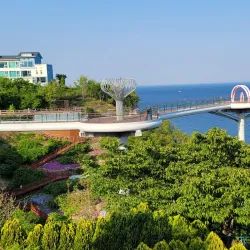 Donghae City Museum - Donghae