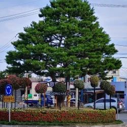 Donghae Rail Bike - Donghae