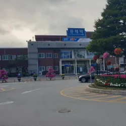 Donghae Rail Bike - Donghae