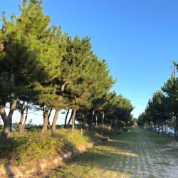 Mangsang Coastal Trail - Donghae