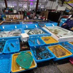 Mukho Port - Donghae