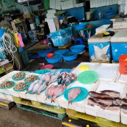 Mukho Port - Donghae