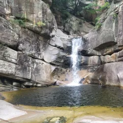 Mureung Valley - Donghae