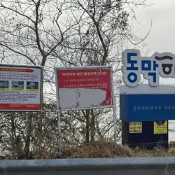 Dongmak Beach - Ganghwa-gun