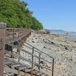 Dongmak Beach - Ganghwa-gun