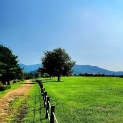 Ganghwa Dolmen Sites - Ganghwa-gun
