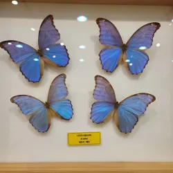 Ganghwa History Museum - Ganghwa-gun