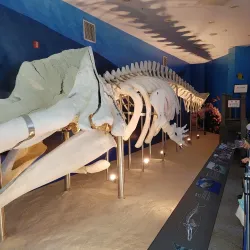 Ganghwa History Museum - Ganghwa-gun