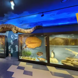 Ganghwa History Museum - Ganghwa-gun