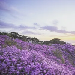 Goryeosan Mountain - Ganghwa-gun