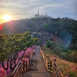 Goryeosan Mountain - Ganghwa-gun