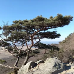 Seokmodo Island - Ganghwa-gun