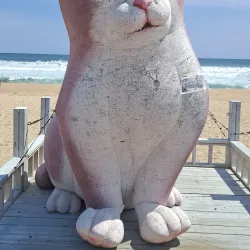 Anmok Coffee Street - Gangneung