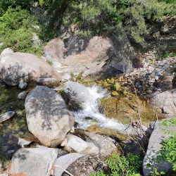 Gangneung Coffee Museum - Gangneung