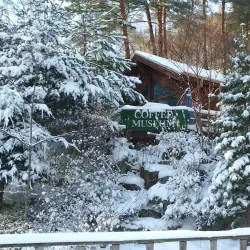 Gangneung Coffee Museum - Gangneung