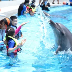 Geoje Sea World - Geoje