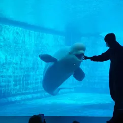 Geoje Sea World - Geoje