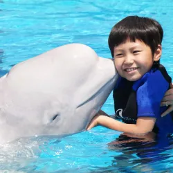 Geoje Sea World - Geoje