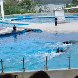 Geoje Sea World - Geoje