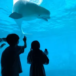 Geoje Sea World - Geoje