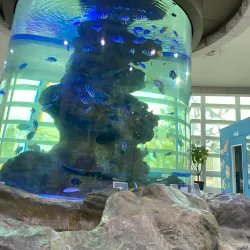 Geoje Shipbuilding Marine Cultural Center - Geoje