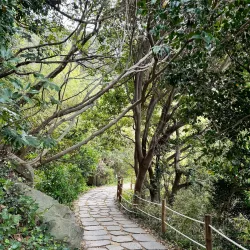 Jisimdo Island - Geoje