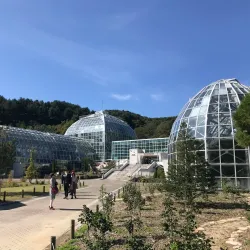 Gimcheon Arboretum - Gimcheon