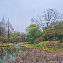 Gimcheon Arboretum - Gimcheon