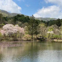 Gimcheon Arboretum - Gimcheon