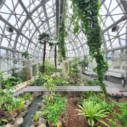 Gimcheon Arboretum - Gimcheon