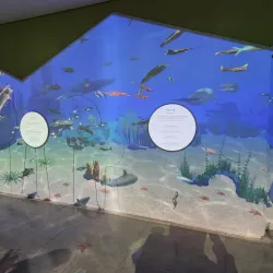 Gimcheon City Museum - Gimcheon