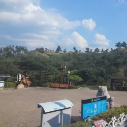 Gimcheon Gaya Museum - Gimcheon