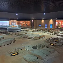 Gimcheon Gaya Museum - Gimcheon