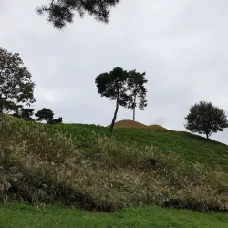 Gimcheon Gaya Museum - Gimcheon