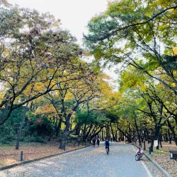 Hwangseong Park - Gimcheon