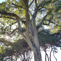 Seokbinggo (Stone Ice Storage) - Gimcheon