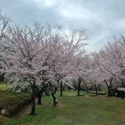 Bonghwangdong Ancient Tombs - Gimhae