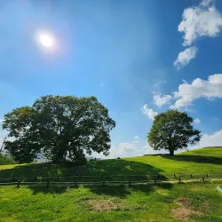 Daeseong-dong Ancient Tombs - Gimhae