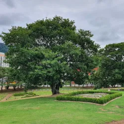 Daeseong-dong Ancient Tombs - Gimhae