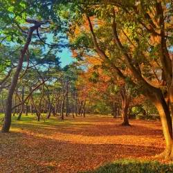 Royal Tomb of King Suro - Gimhae