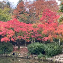 Gimje Cycling Road - Gimje
