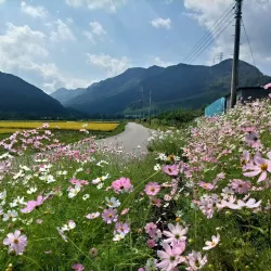 Gimje Cycling Road - Gimje