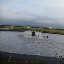 Gimje Cycling Road - Gimje