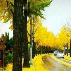 Gimje Cycling Road - Gimje