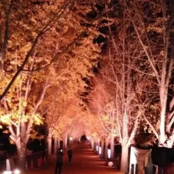 Gimje Cycling Road - Gimje